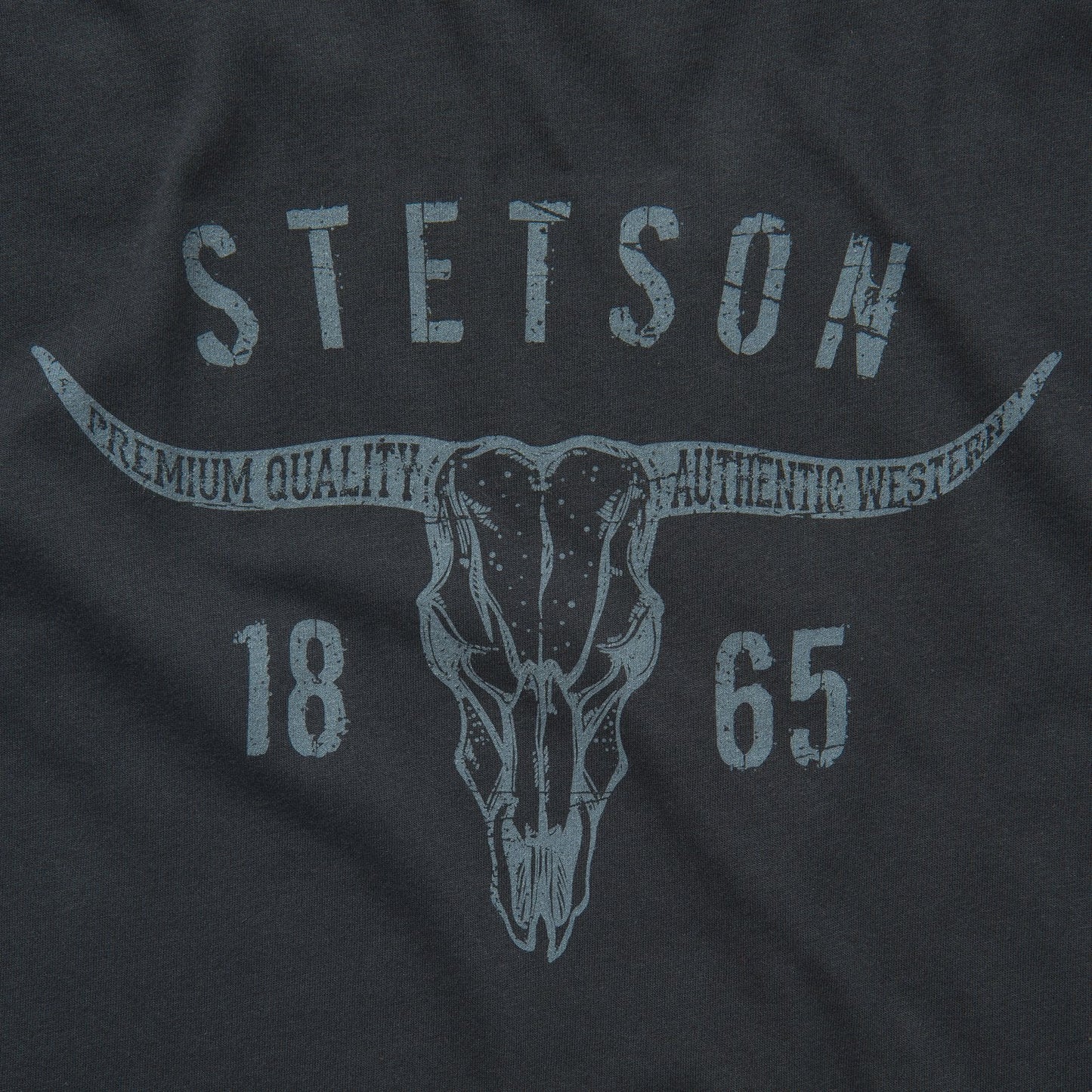 Stetson Longhorn Graphic Tee