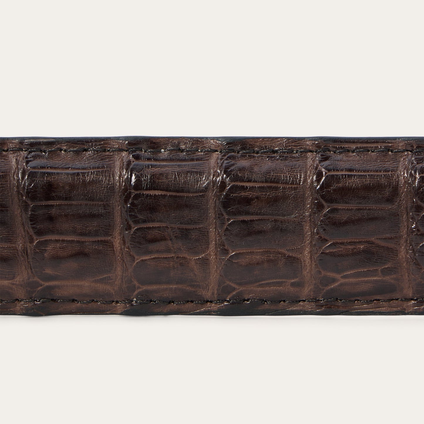Stetson Caiman Western Tab Belt - 1 1/4" Width