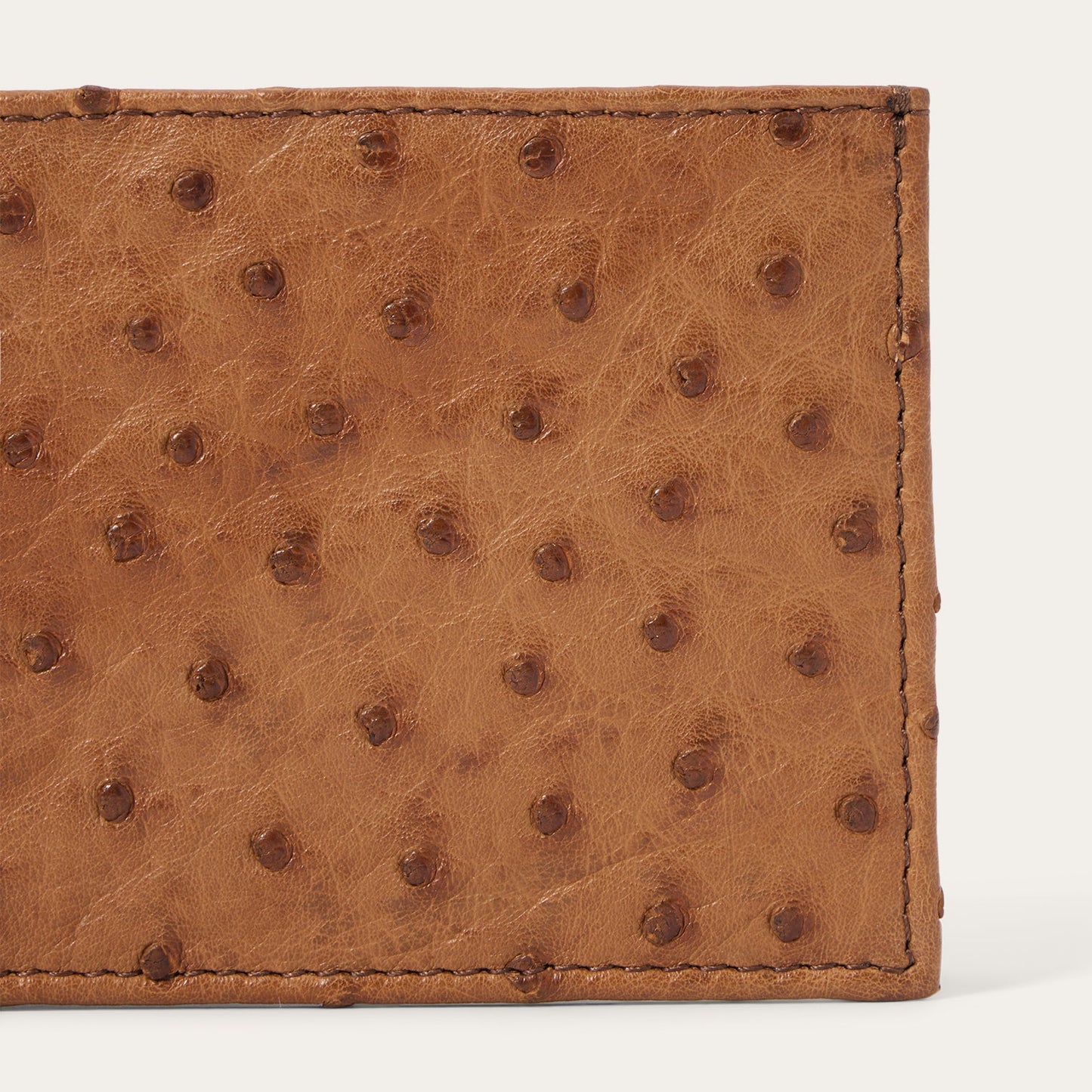 Stetson Ostrich Bi-Fold Wallet