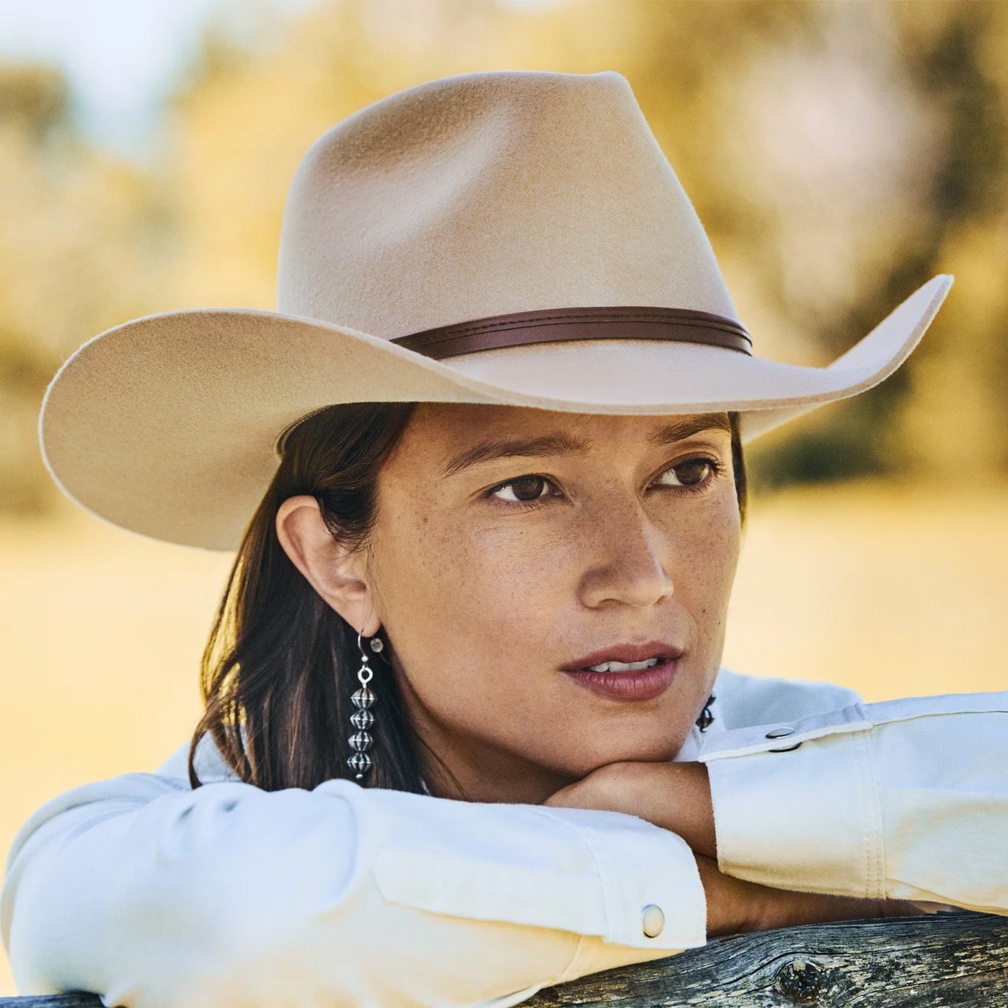 Stetson Seneca 4X Cowboy Hat