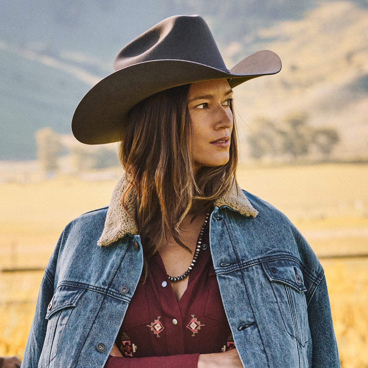 Stetson Skyline 6X Cowboy Hat