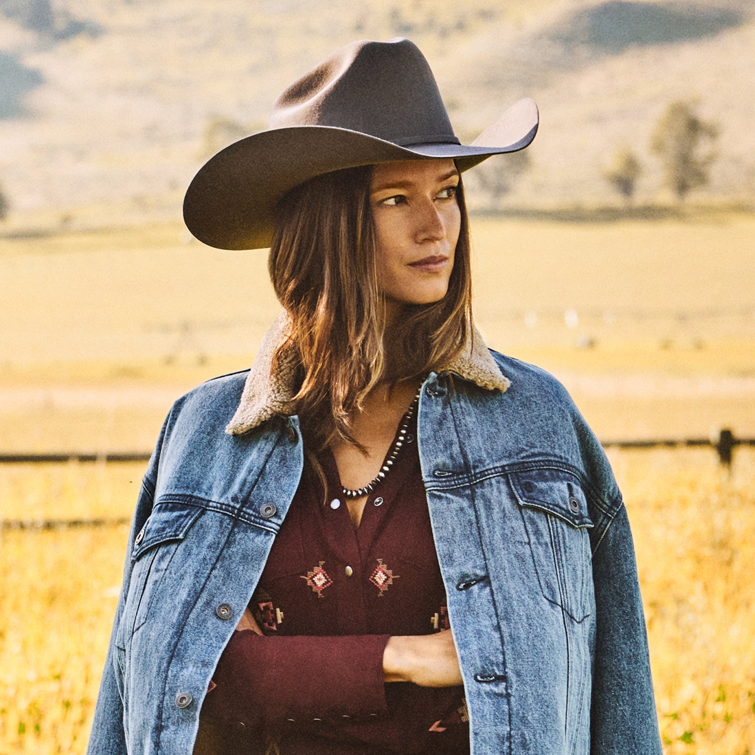 Stetson Skyline 6X Cowboy Hat