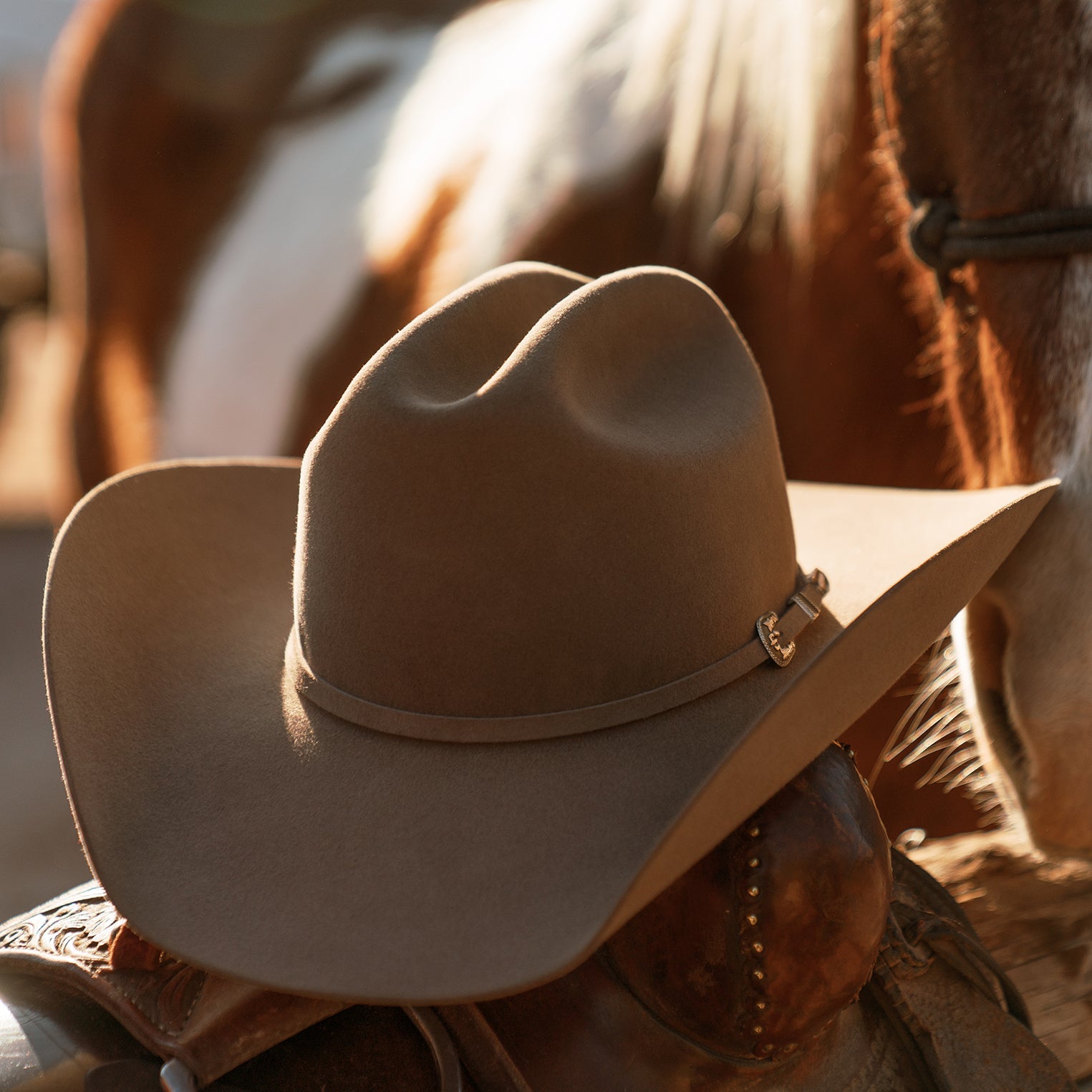 Stetson Skyline 6X Cowboy Hat