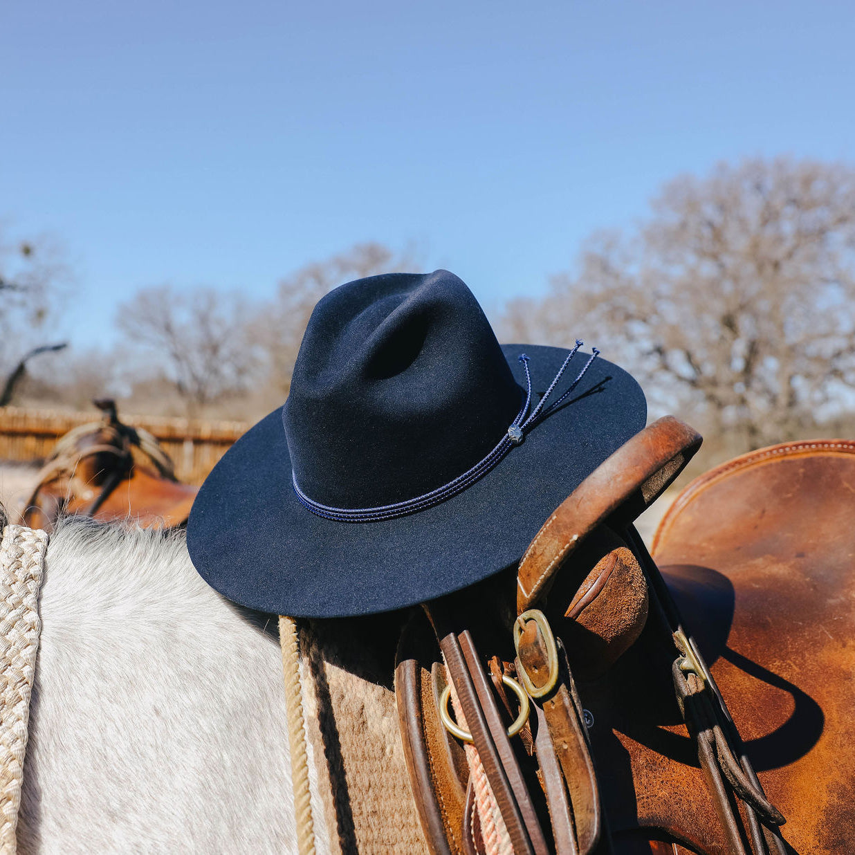 Stetson The Four Points
