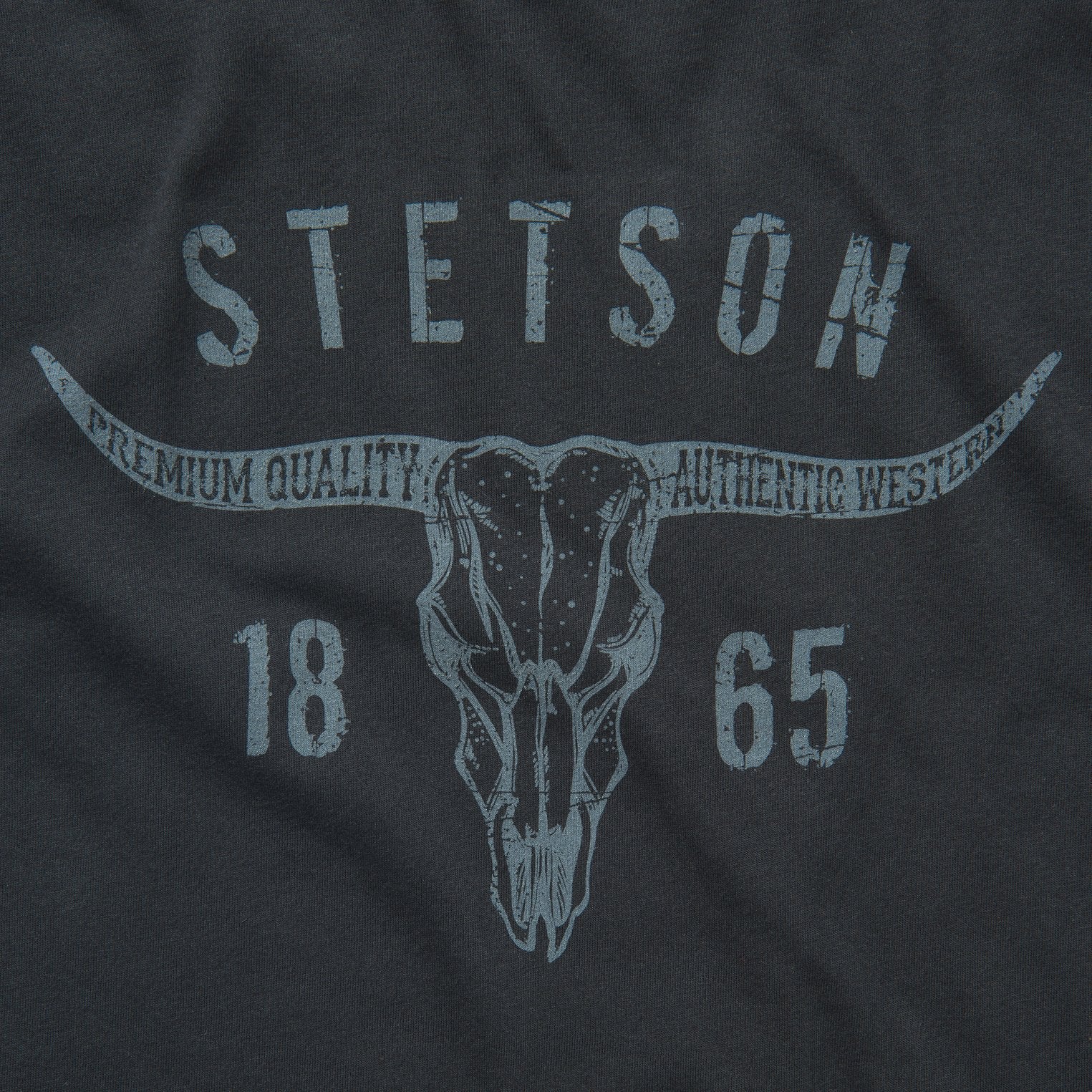 Stetson Longhorn Graphic Tee