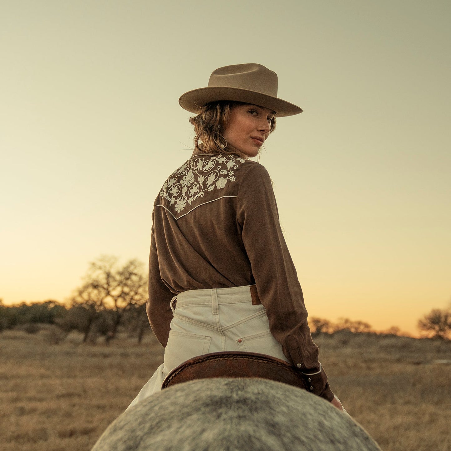 Stetson Classic Western Snap Shirt