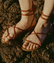 Rouge Vachetta