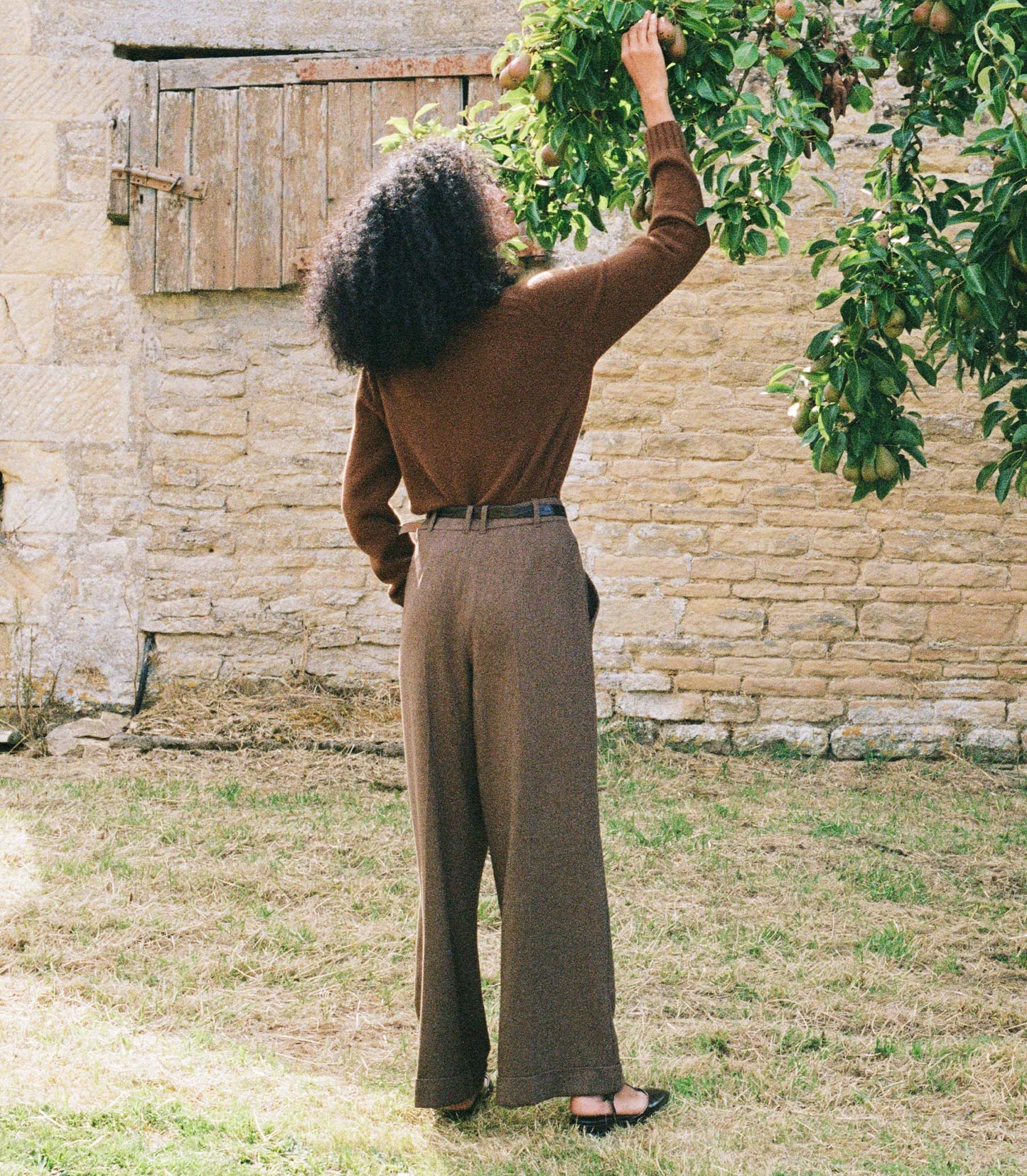 DÔEN Women Lawrence Pant - Brown Herringbone