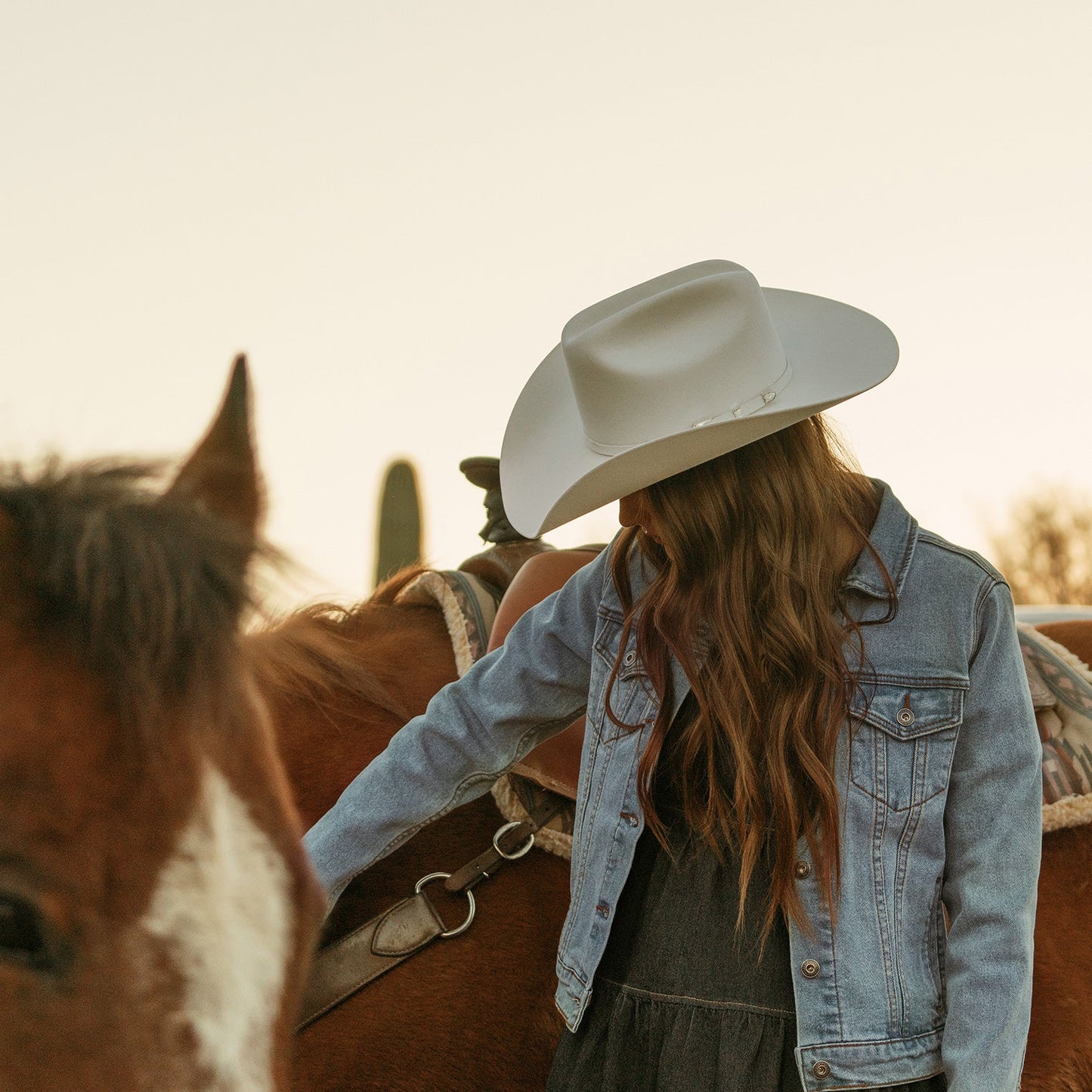 Stetson Stretch Denim Jacket