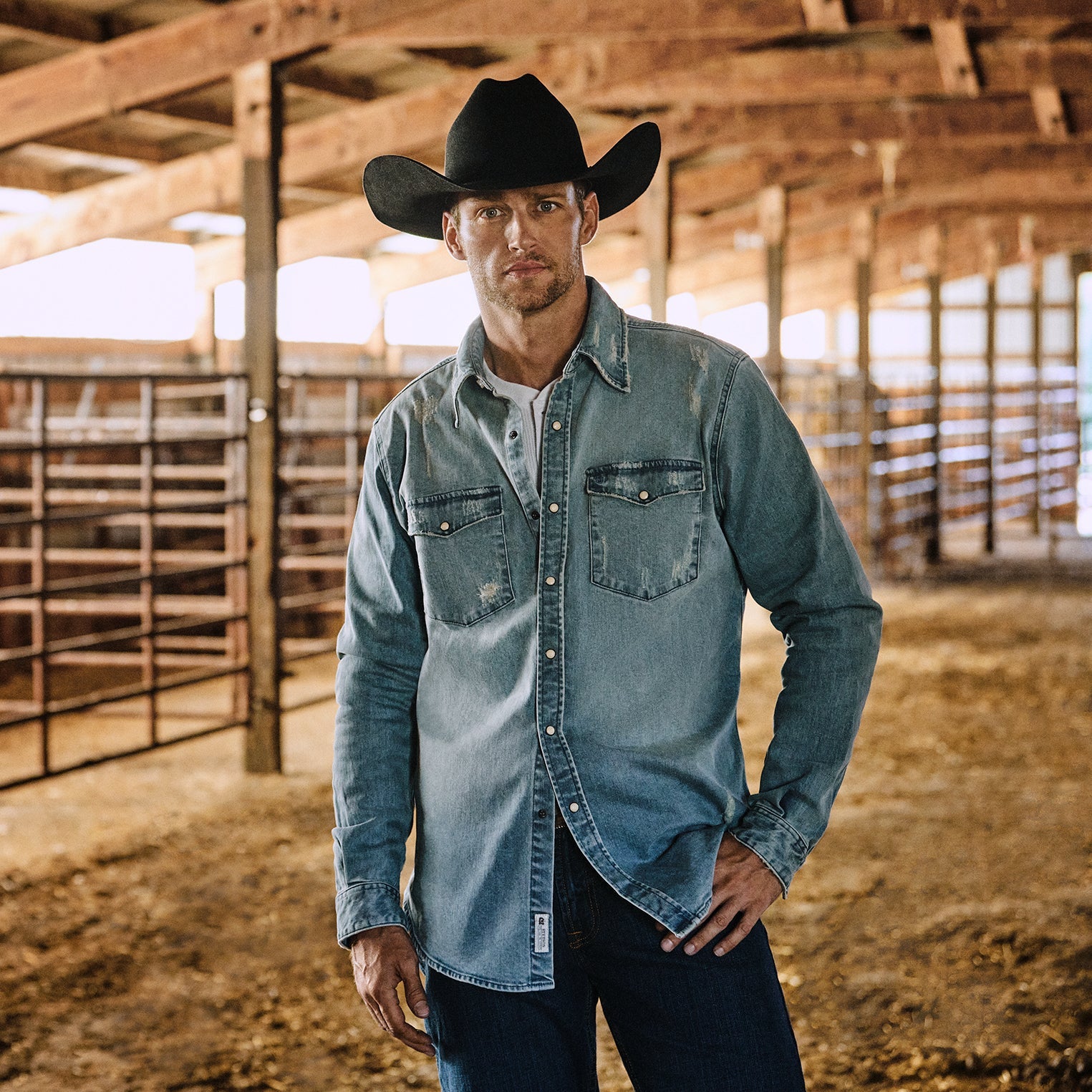 Stetson Distressed Denim Western Shirt