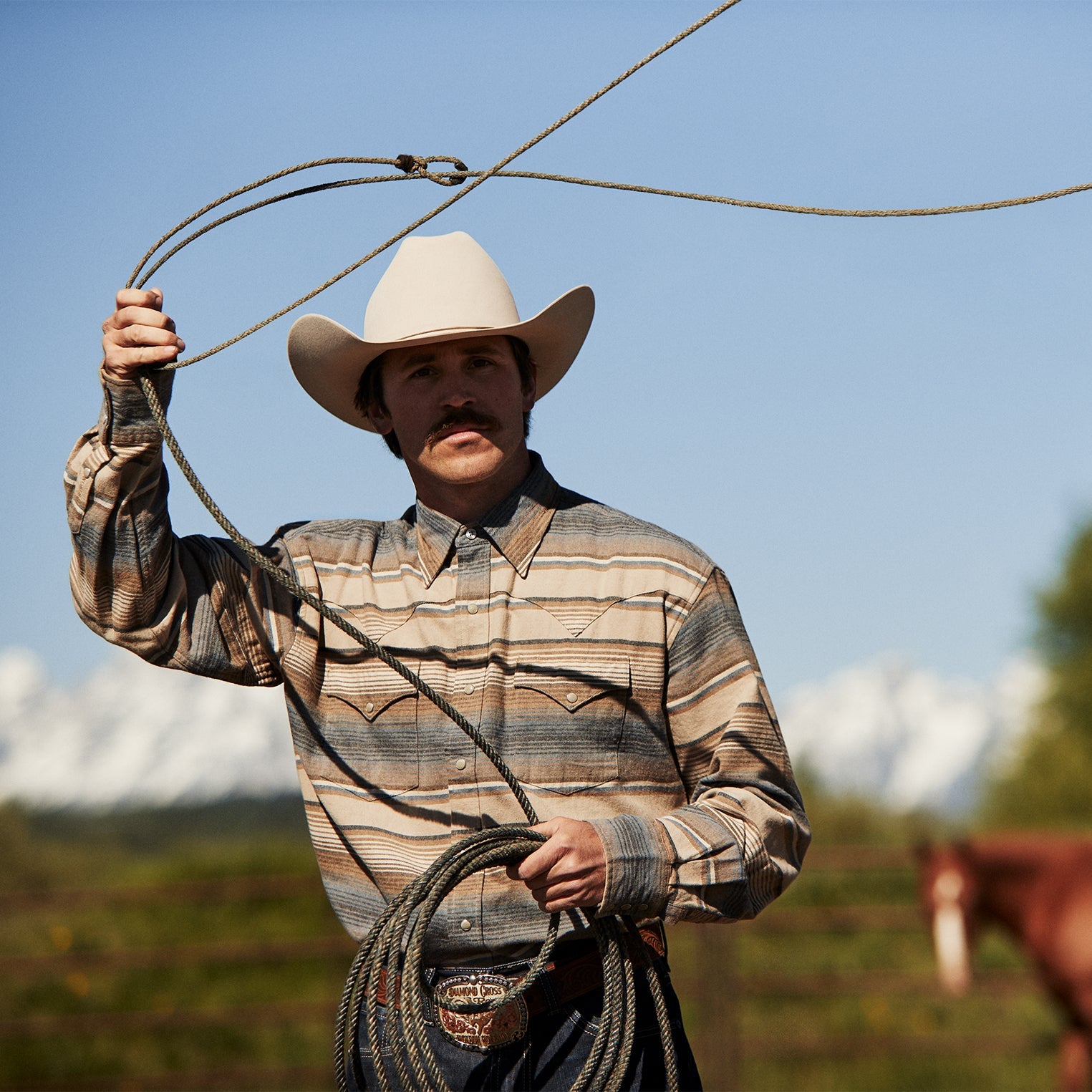 Stetson Blue Stripe Flannel Western Shirt
