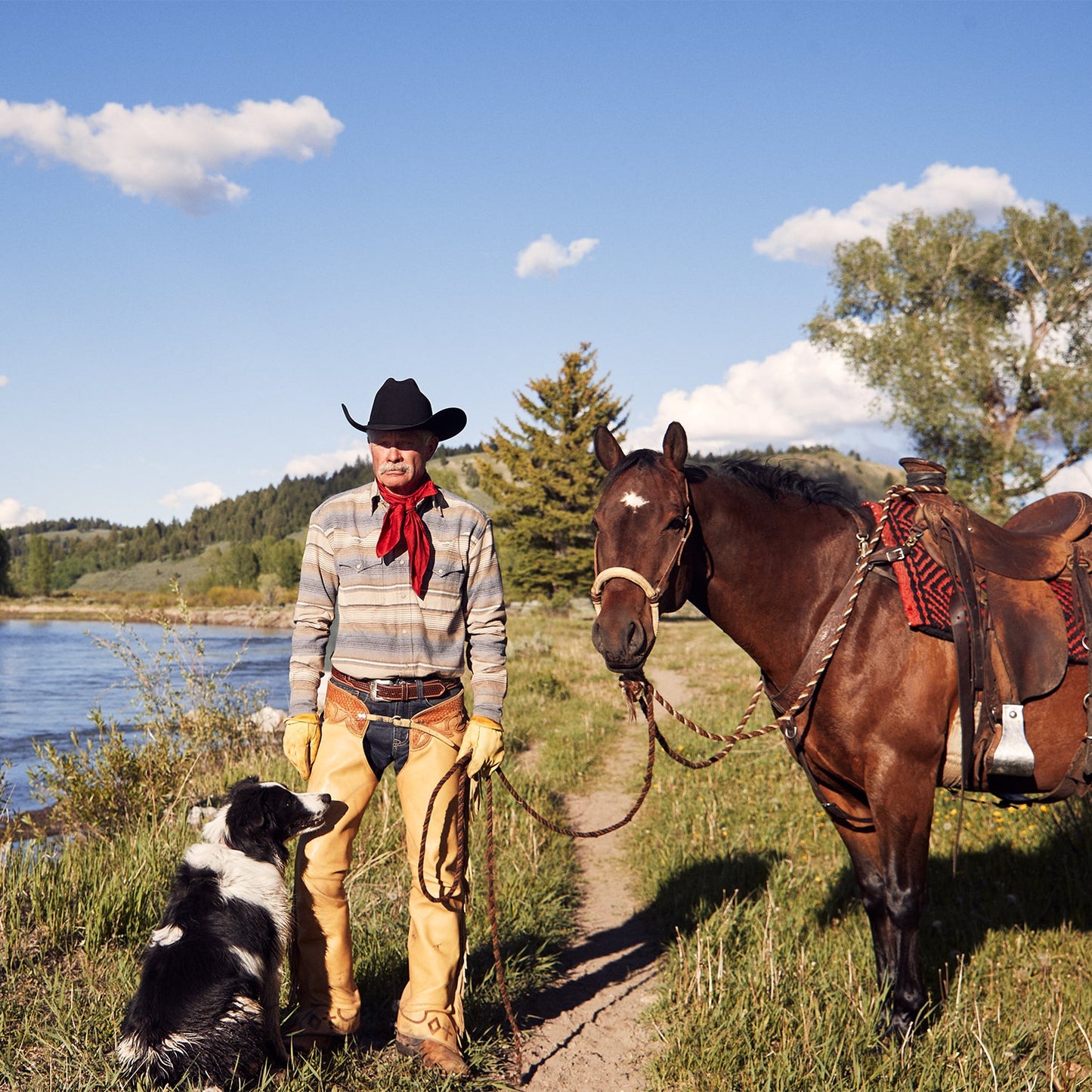 Stetson Blue Stripe Flannel Western Shirt