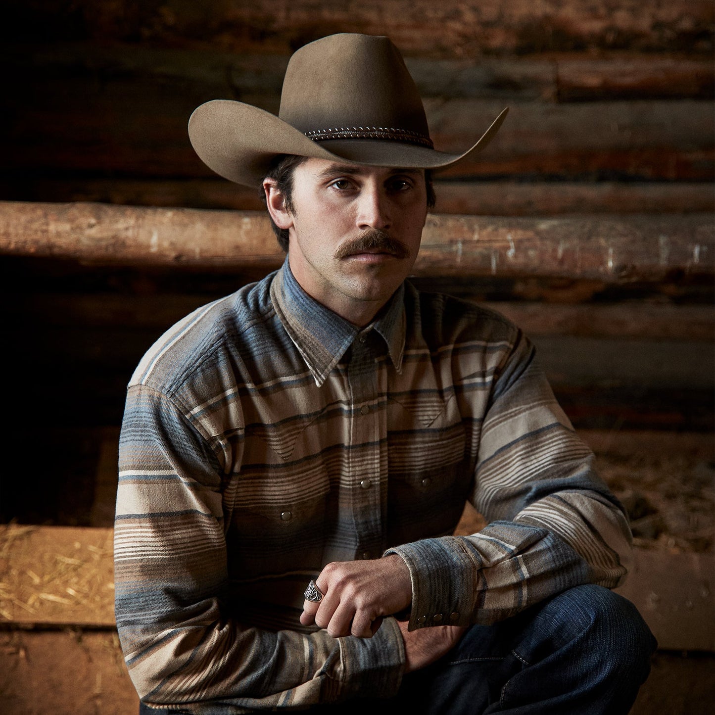 Stetson Blue Stripe Flannel Western Shirt