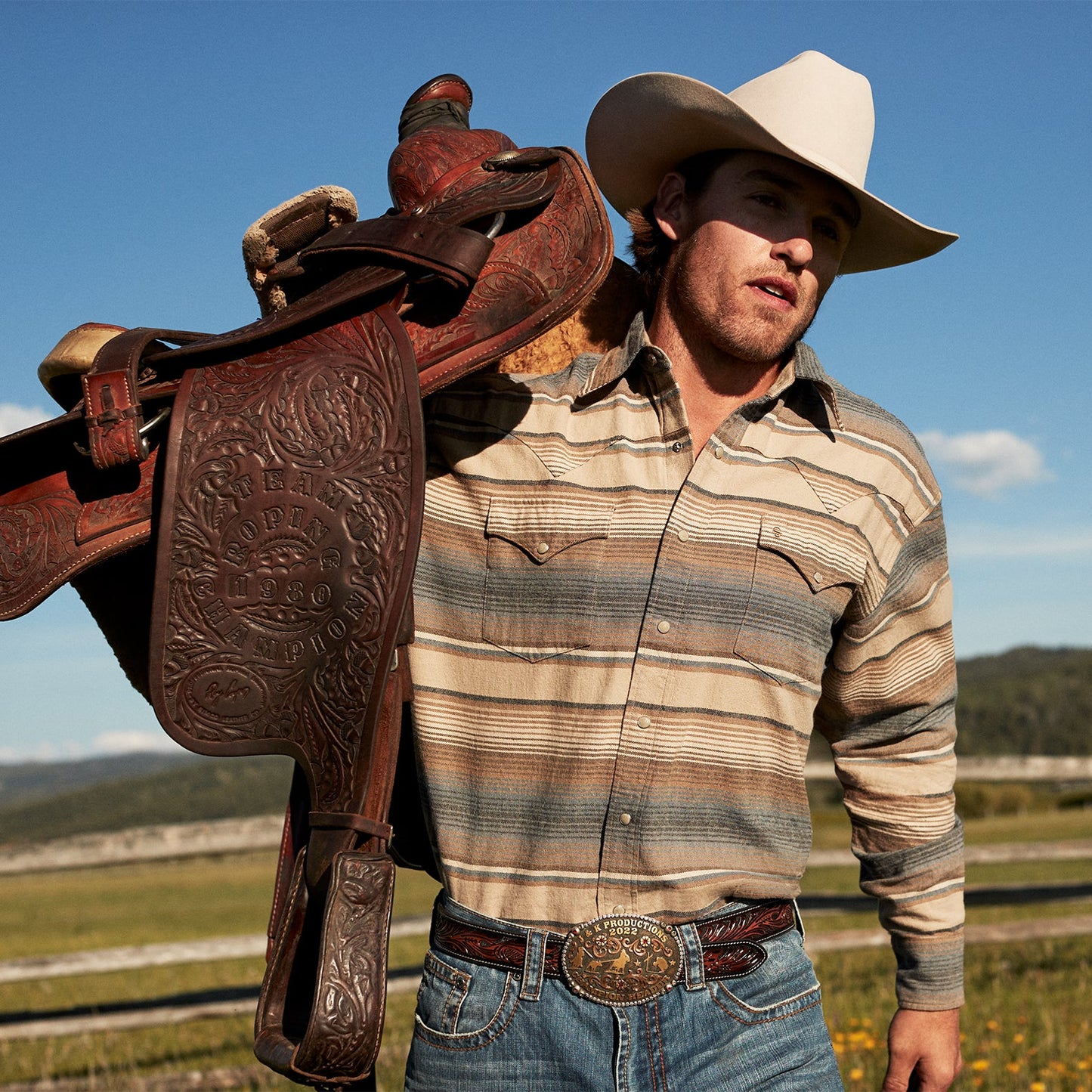 Stetson Blue Stripe Flannel Western Shirt