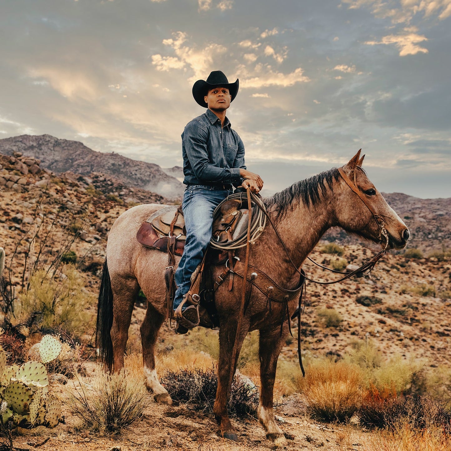 Stetson Dark Denim Western Shirt
