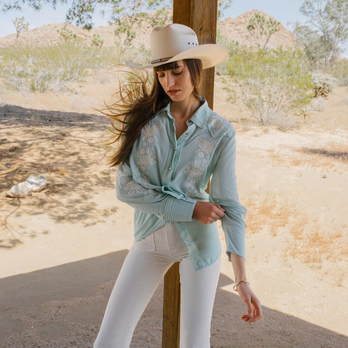 Stetson Aqua Crepe Western Shirt