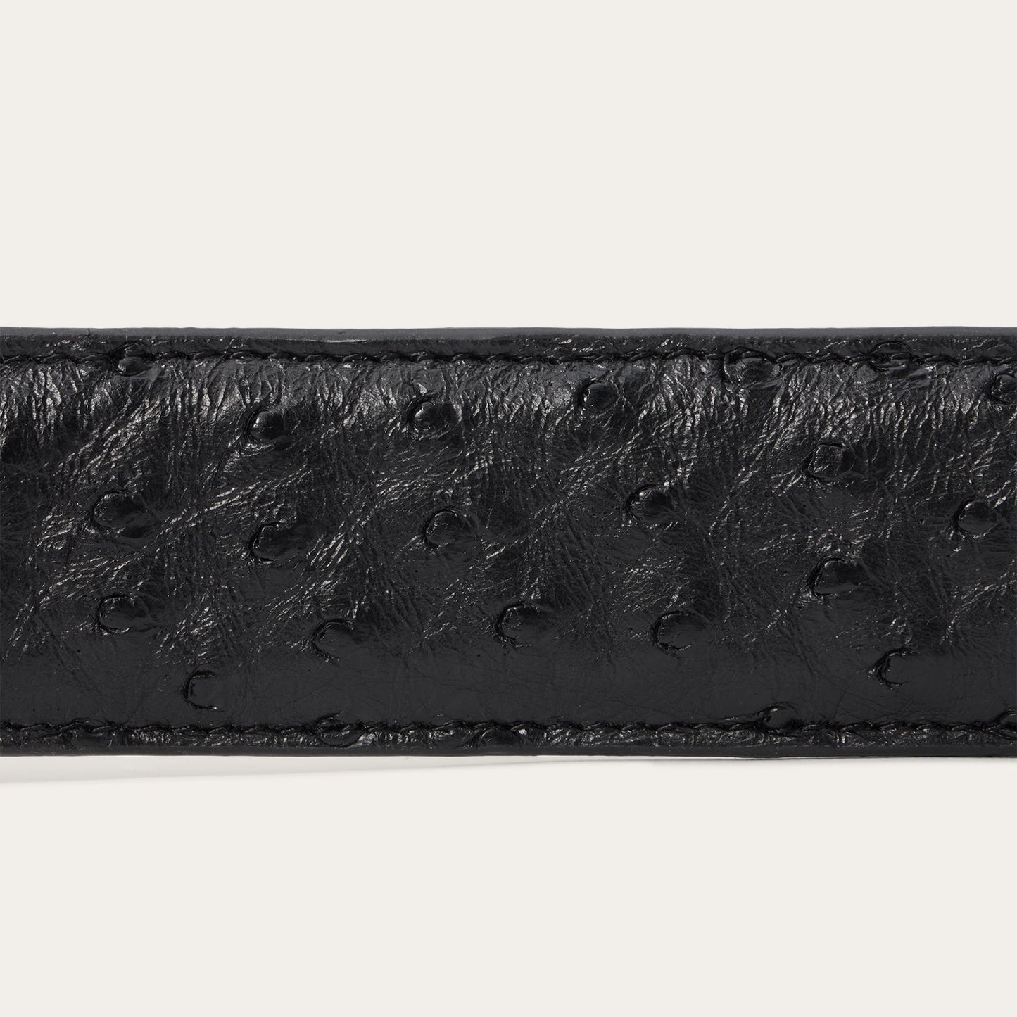 Stetson Ostrich Western Tab Belt