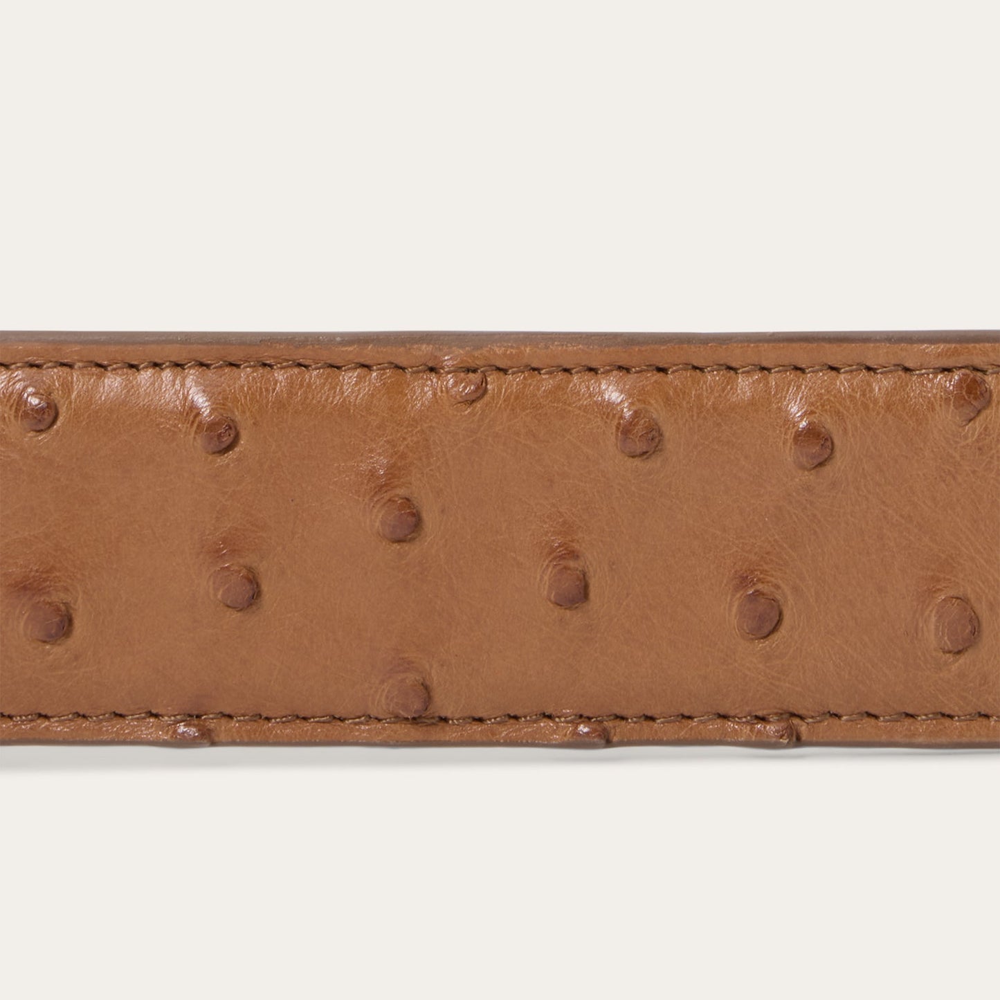 Stetson Ostrich Western Tab Belt