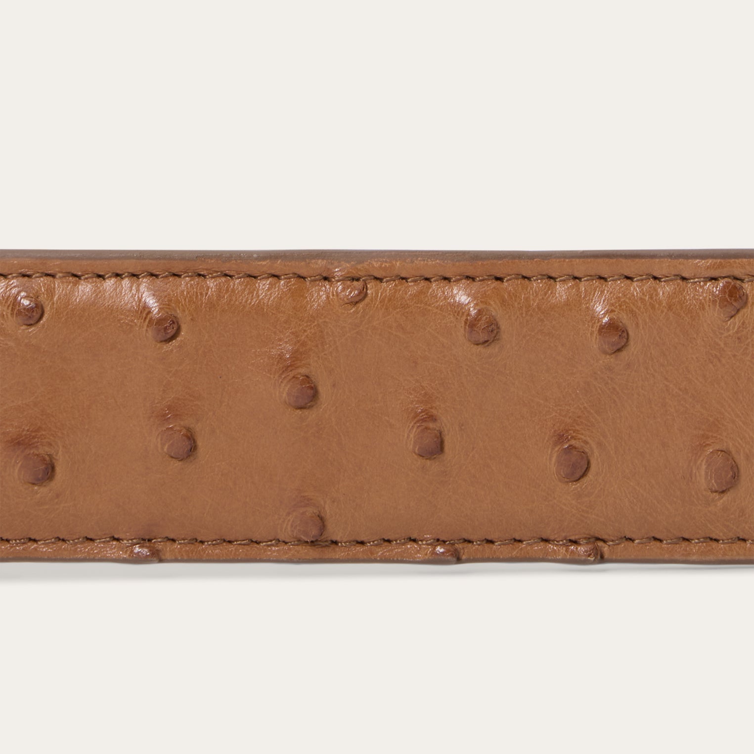 Stetson Ostrich Western Tab Belt