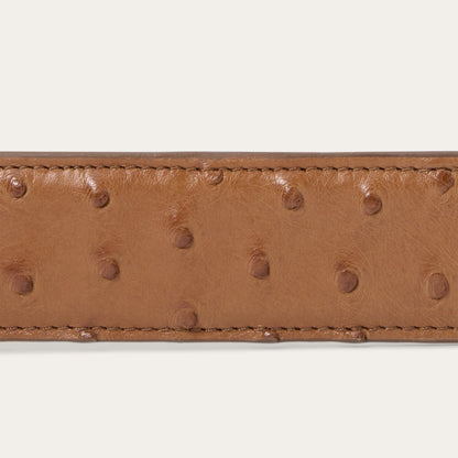 Stetson Ostrich Western Tab Belt
