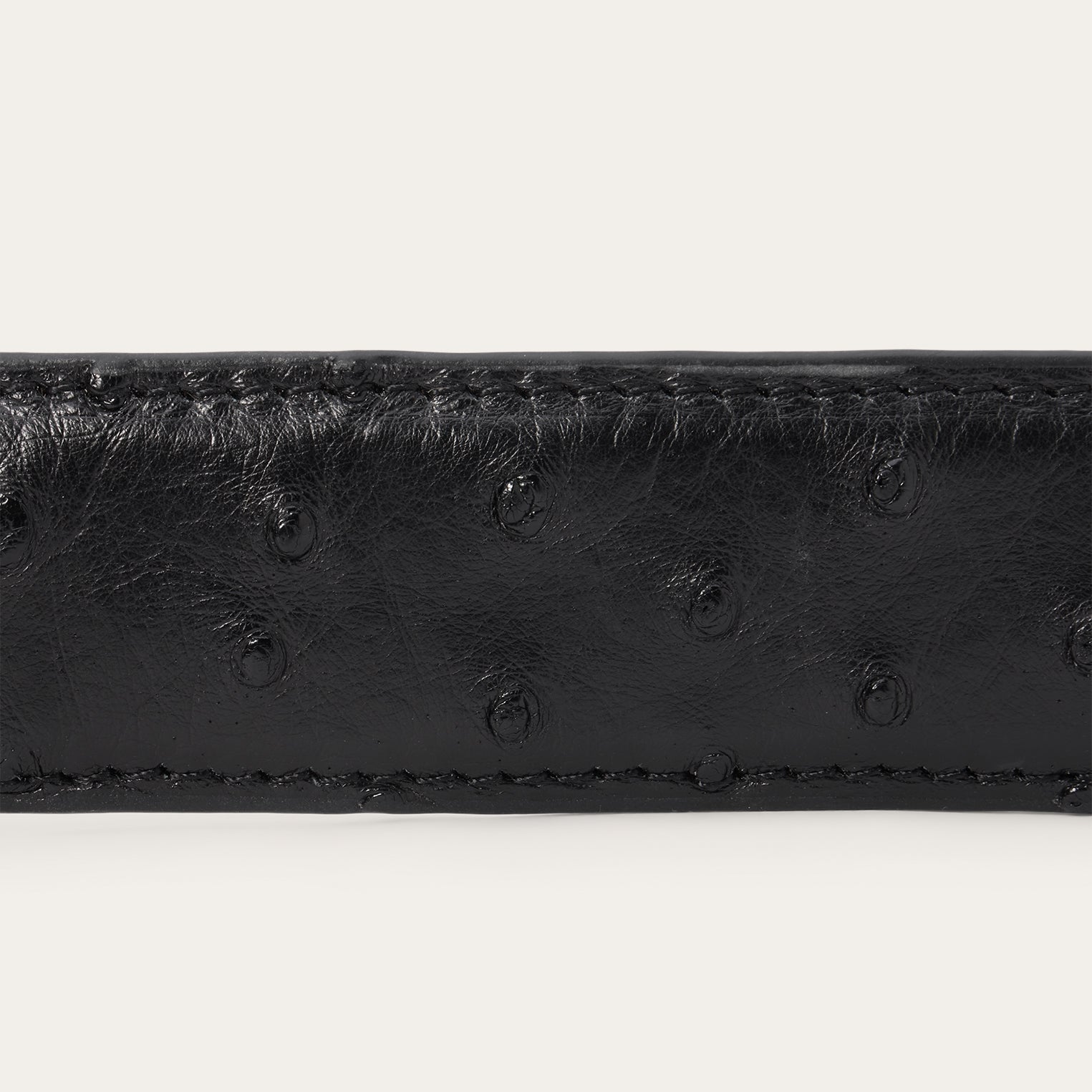 Stetson Ostrich Western Tab Belt - 1 1/4" Width