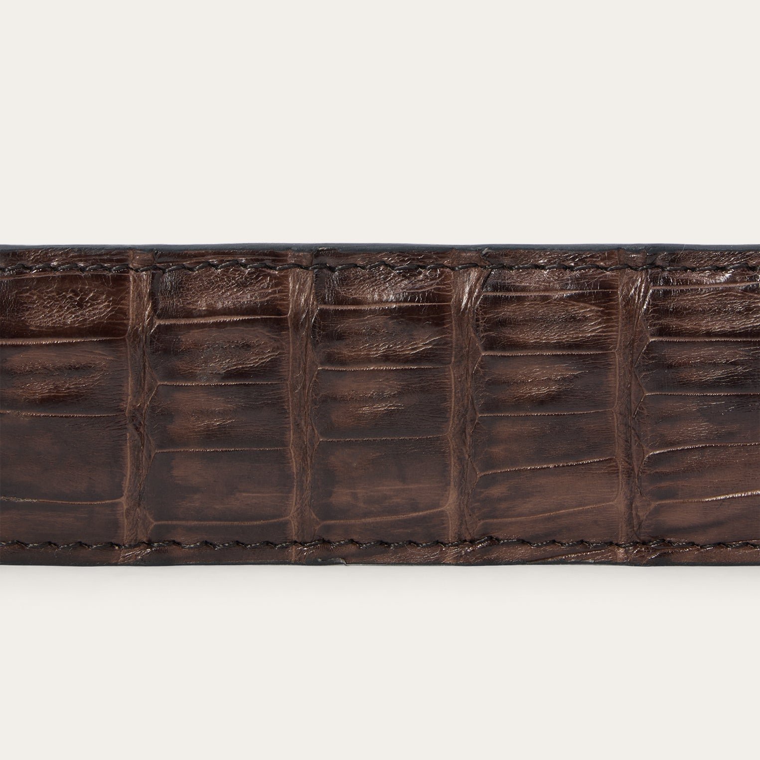 Stetson Caiman Western Tab Belt