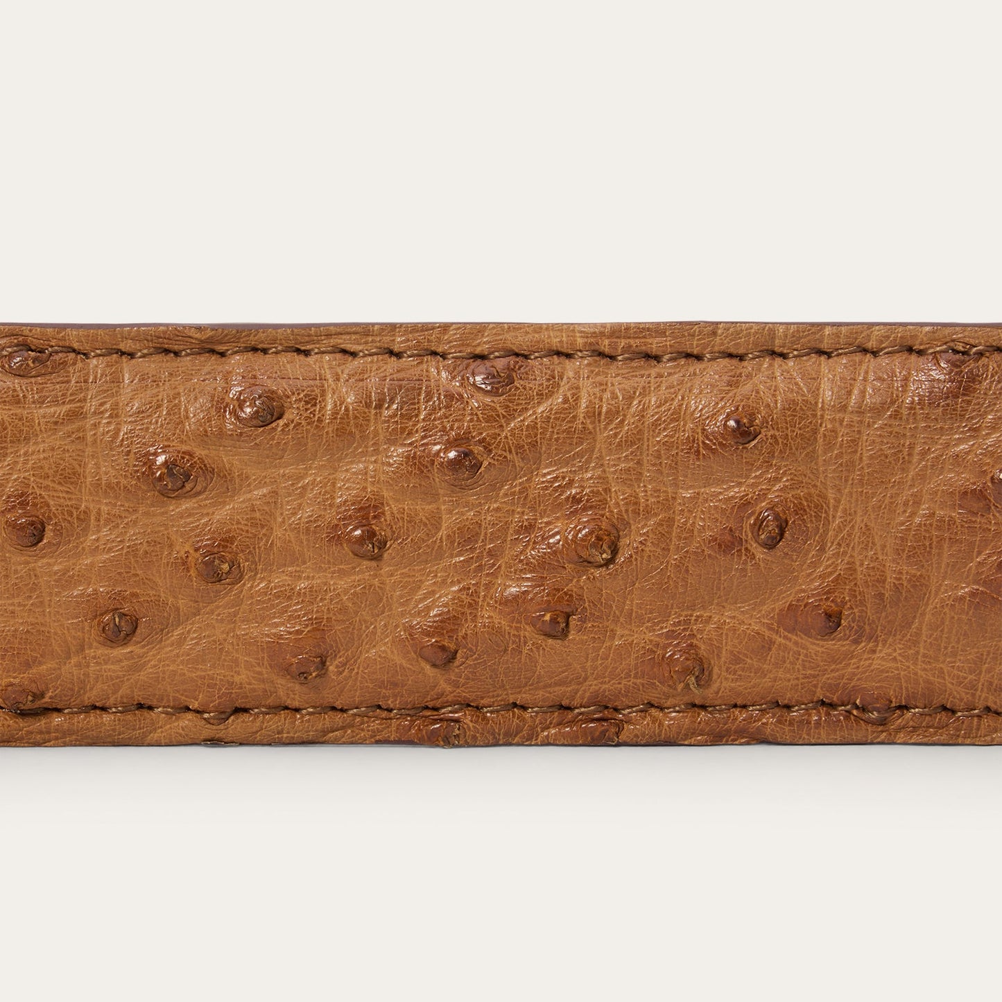 Stetson Ostrich Western Tab Belt - 1 1/4" Width