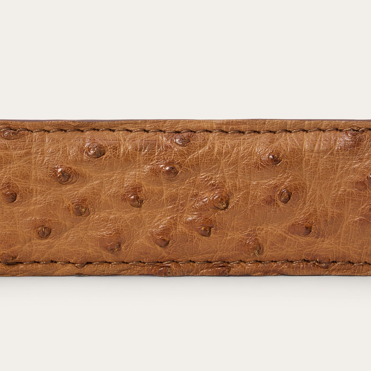 Stetson Ostrich Western Tab Belt - 1 1/4" Width