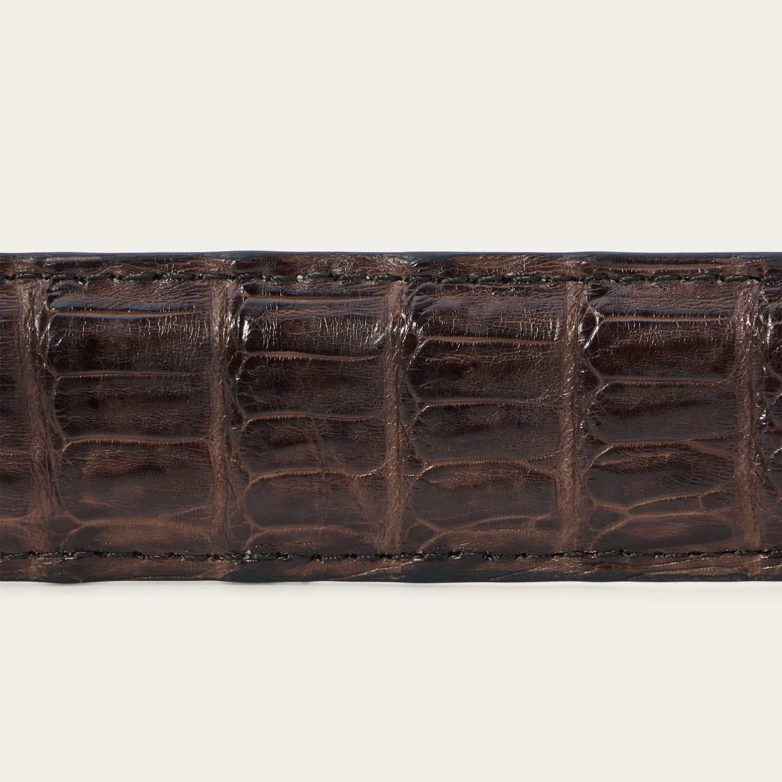 Stetson Caiman Western Tab Belt - 1 1/4" Width