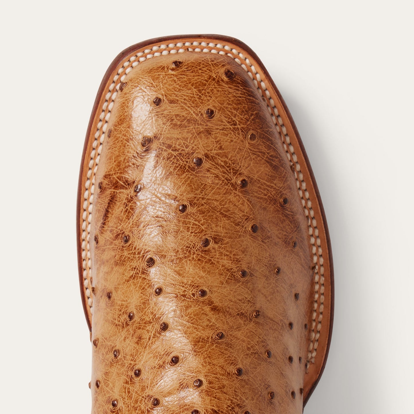 Stetson Ozzy Ostrich Boot