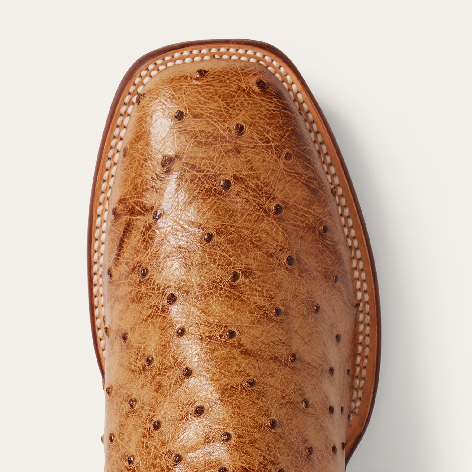 Stetson Ozzy Ostrich Boot