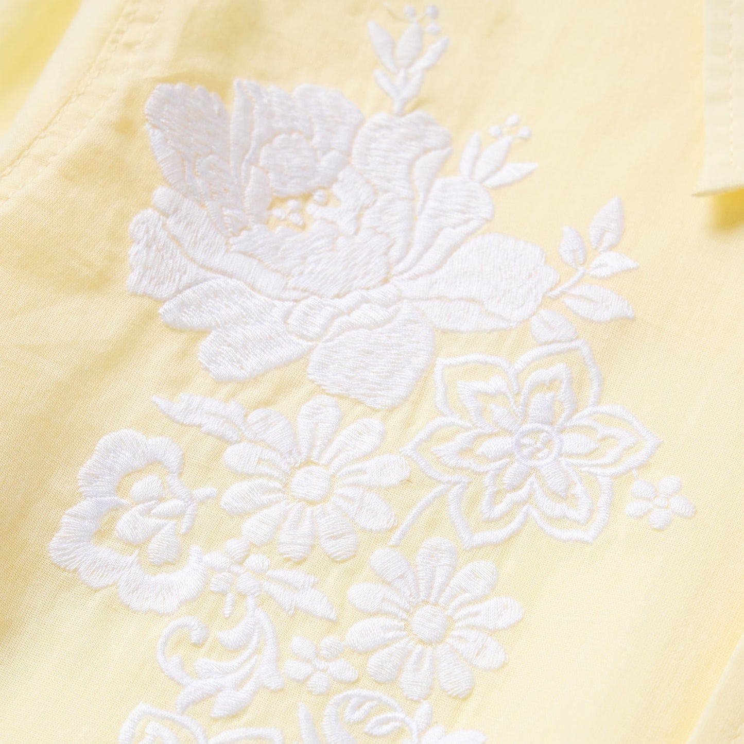 Stetson Embroidered Western Shirt
